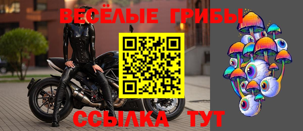 цены наркотик  Вход с VPN  Сухой Лог  Галлюциногенные грибы Magic Shrooms  Псилоцибиновые грибы Psilocybine cubensis 